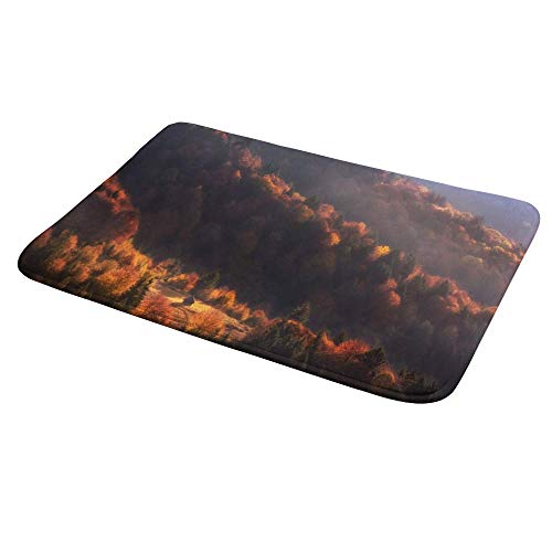 Tapis de bain lavable en machine antidérapant et absorbant