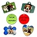 Personalized Dog Tags and Cat Tags,Dog Collar Tags,Custom Personalized Pictures, Double-Sided Printing,Custom pet Information (Bone, ï¼’)