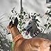 Didog Hundehalsband aus echtem Leder, breit, weich, strapazierfähig, 5 cm breit, luxuriöses, langlebiges Hundehalsband für mittelgroße und große Hunde, Braun, L