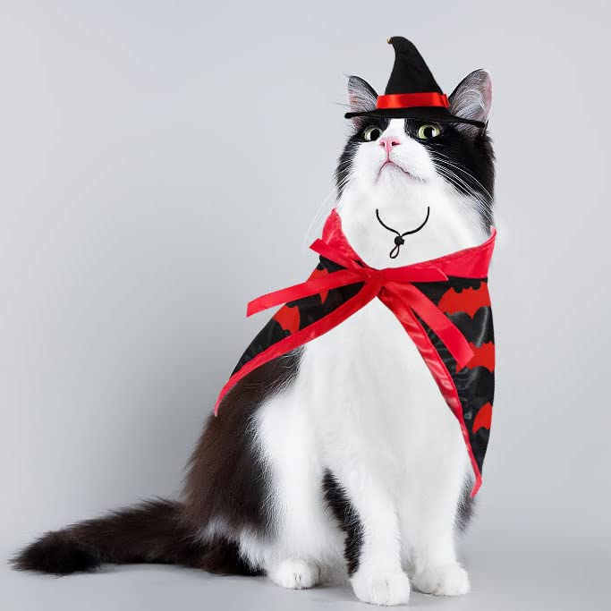 Couvre-chef Mignon Pour Chien, Chapeau Pour Animaux De Compagnie