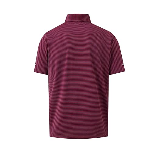 Image of Golf Shirts for Men - Dry Fit Moisture Wicking Short Sleeve Performance Sport Casual Striped Collared Mens Polo Shirt