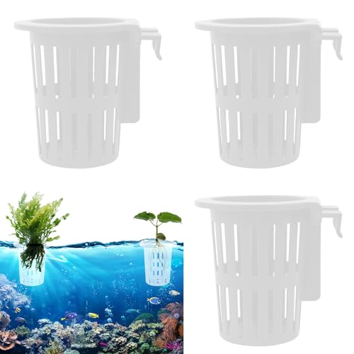 Jlkegfdf Soporte para Plantas para pecera | Cesta de Plantas de Acuario con Gancho y | Accesorios acuáticos para terrario Interior, paludario, camarones, Estanque, Cultivo, jardinería