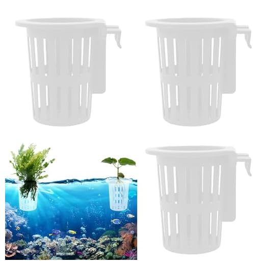 Jlkegfdf Soporte para Plantas para pecera | Cesta de Plantas de Acuario con Gancho y | Accesorios acuáticos para terrario Interior, paludario, camarones, Estanque, Cultivo, jardinería