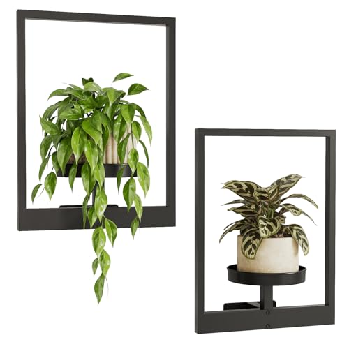 Bamworld Estantes para plantas de ventana, soporte para plantas de pared, macetas colgantes para plantas de interior, soporte para plantas al aire libre, estante de metal negro, decoración de