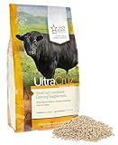 UltraCruz