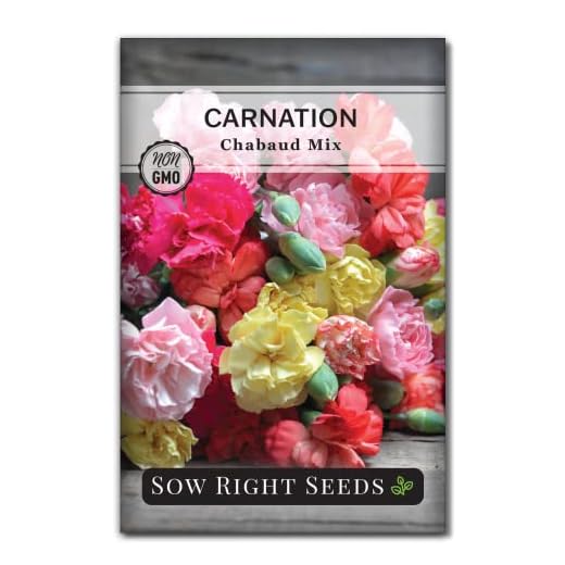 Sow Right Seeds - Carnation Chabaud Mix Flower Seeds for Planting - Beautiful Flowers to Plant in Your Home Garden - Non-GMO Heirloom Packet with Instructions - Perennial Flower Perfect for Bouquets