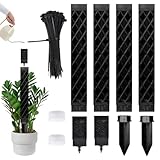 KBIBCK Moosstab für Monstera Rankhilfe Zimmerpflanzen, 4x25cm Selbstbewässerung Moosstab, Mit Erdspieße und Garten Drehbinder, Pflanzenhalter für Zimmerpflanzen(4 Stück)