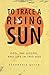 To Trace a Rising Sun: God, the Gospel, and Your Life in this Age