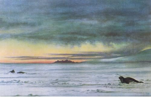 Regarder vers le nord dans Mcmurdo Sound Edward Adrian poster vintage deco chambre 60x90