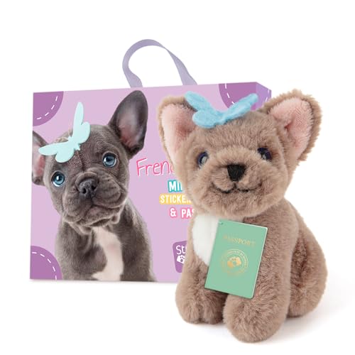 Peluche bouledogue français cadeau enfant boîte passeport autocollants