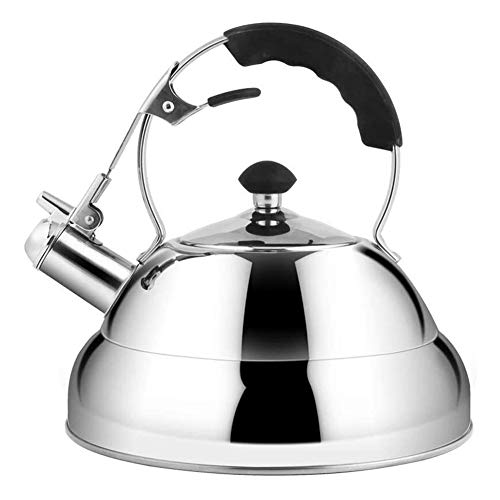 Bouilloire pour une cuisson plus rapide théière en acier inoxydable sifflet