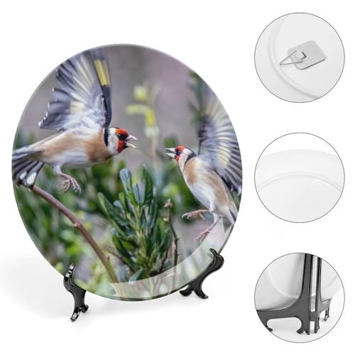10" Decorative Wall Plate Goldf"es Birds Animals Ceramic Collectible Plates Home Office Kitchen Bedroom Decoration Household Plates with Stand Wall Art Dining Table Decor - Image 5