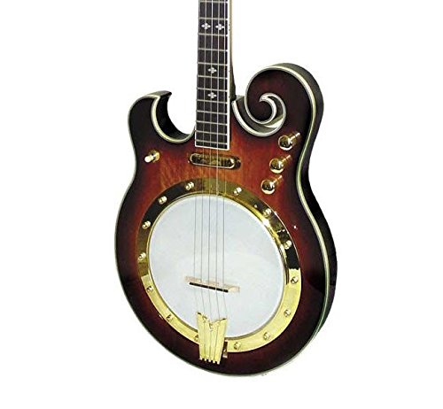 5弦バンジョー ハードケース付き 5弦バンジョー 単板リム ハードケースセット : おかげ様で創業