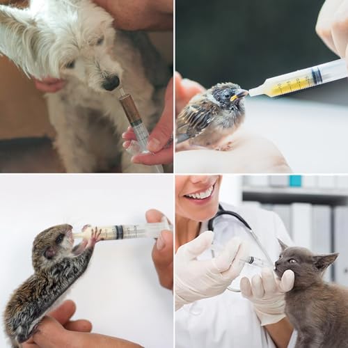 6 Stück Spritzen 30ml Kolostrum Spritze Kunststoff Spritze Einzeln Ohne Nadel Sterile Spritzen für Wissenschaftlich Labore Dosier Spritze für die Messung von Flüssigkeiten, Füttern (6 x 30ml)