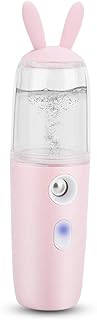 Pulverizador de névoa, mini pulverizador de rosto portátil de 30 ml, umidificador facial, vaporizador hidratante, Nano spray de água USB recarregável para cuidados com a pele (rosa)