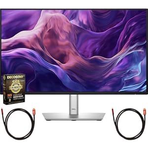 Dell DELL-P2425H 24 inch Full HD 1080p 16:9 LED Monitor Black/Silver Bundle with 2X Deco Gear 6FT Universal 4K HDMI 2.0 Cable and Deco Gear CPS Exclusive 26 Month Protection Pack (BEACH-CPS-26M250)