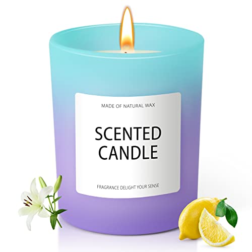 Duftkerze im Gradient Glas, Erzieherin Geschenk Duft: Der Atem des Meeres, Natürliches Sojawachs 150g, Duftkerzen Geschenke für Frauen Cover