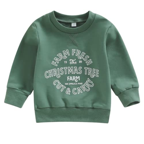 Image of Baby Boy Girl Pumpkin Sweatshirt Tops Toddler Halloween Outfit Long Sleeve Crewneck Pullover Sweater Shirt Fall Clothes