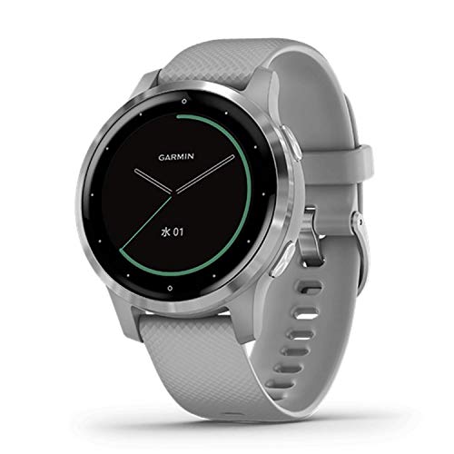 GARMIN vivoactive 4S Powder Gray/Silver 010-02172-07