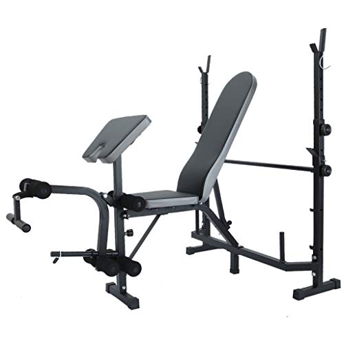 cobcob Weight Benchs,Adjustable Weight Bench Workout Bench Dumbbell Bench Weightlifting Bed Full Body Training 2 Piece Combo Bench and Squat Rack Stand for Home Gym (Black)