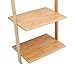 exilot Natural Bamboo Ladder Shelf 5-Tier Wall-Leaning Bookshelf Ladder Bookcase Storage Display Shelves for Living Room, Kitchen, Office, Multi-Functional Plant Flower Stand Shelf.