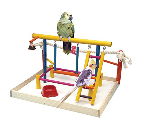 Penn-Plax Bird Life Activity Center – Perfect For Cockatiels, Conures, and Parakeets/Budgies –