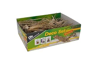 Lucky Reptile LDS-01 décor sec désert pour nano terrarium
