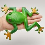Generisch 3 Stuck Realistische Frösche Aus Gummi, Frosch-Simulation, Dehnbares Spielzeug, Stressabbau, Sensorisches Spielzeug, Parodie, Stressabbau, Spielzeug Kinder Und Erwachsene