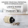 Lion's Mane Supplement Capsules with Turkey Tail for Memory & Focus – 10:1 Mushroom Extract, Brain Fog Support, 1200mg, Third Party Tested, Non-GMO, Vegan, Made in USA, 120 Capsules, 2 Month Supply #1