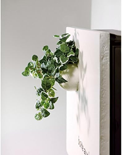 Only One Club Courier Pot Top Pot Ivory Left Door