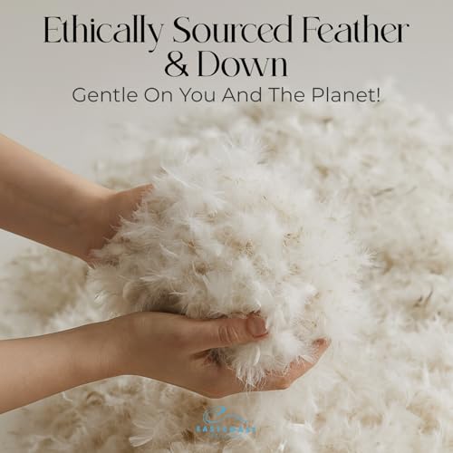 East Coast Bedding Cozy Dream thumbnail 6