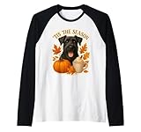 Tis The Season Giant Schnauzer Fall Products