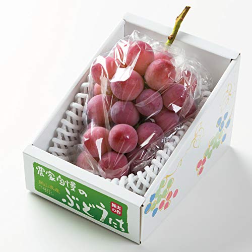 ぶどう クイーンニーナ ちょっと訳あり 600g×1房 岡山県産 JAおかやま 葡萄 ブドウ