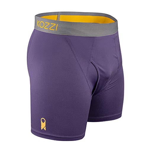 KOZZI Mens Boxer Briefs Premium Soft Breathable Nylon for Everyday Royal Purple
