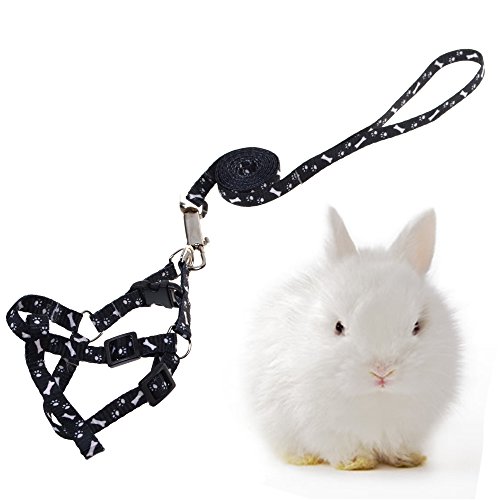 19 Best Rabbit Harness in 2020 (Reviews & Guides)