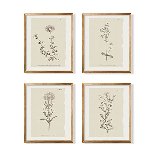 Vintage Botanical Plant Wall Art Prints - Neutral Minimalist Flower Posters - Mid Century Picture For Bedroom, Bathroom, Kitchen, Home Office - Beige Rustic Farmhouse Room Decor Aesthetic Boho Sketch #TOP5
