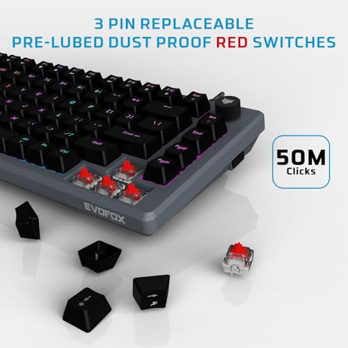 Image of EvoFox Katana X2 TKL Gaming Mechanical Keyboards Wireless -Tri-Mode (BT /2.4G /Wired), Silent Red Switches, 1000Hz Polling Rate, Vivid and Dynamic Backlighting, 4000mAh Battery,Volume Knob (Black)