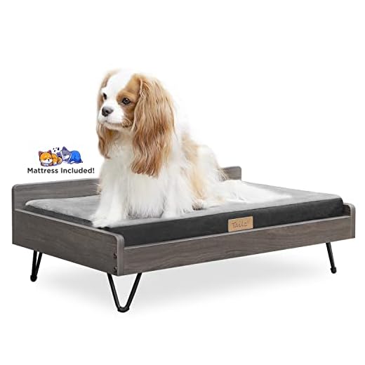 Wooden Dog Bed and Dog Couch with Water-Resistant and Calming Mattress, Small to Medium Elevated Pet Bed, Greenguard Gold Certified, Dog Beds & Furniture, Chase - TailZzz
