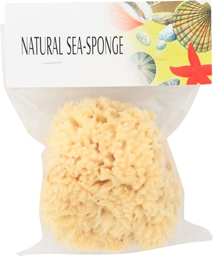The Sponge Company Bathing Sea Sponge 2, 1 Ea