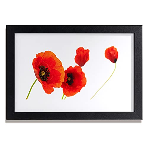 Salon et chambre habillés d'une affiche encadrée 30x20 cm nature fleurie Tulup