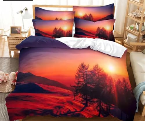 zcJo[ [ zcZbg _炩 ʋC R hL h_j lGʗp tɗDVɂȂɂ ӂƂZbg (150x210cm) + 2 Jo[ (43x63cm)