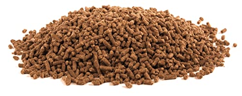 Ultracruz SC-516344 Equine Electrolyte Plus Supplement thumb #2