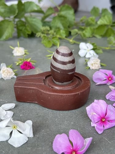 Image of Shivam VASTU AKAL 1.5 inch Original Narmadeshwar Narmada Shivling with 3 inch Narmada Stone Yoni Base Jaladhari (Janeudhari Shivling, Brown Flate Jaladhari)