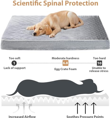 Image of WNPETHOME Velvet, Orthopedic Dog Bed - Large, Giant Size, Removable Washable Cover & Anti-Slip Bottom, Egg Crate Foam Mat, Xxxl