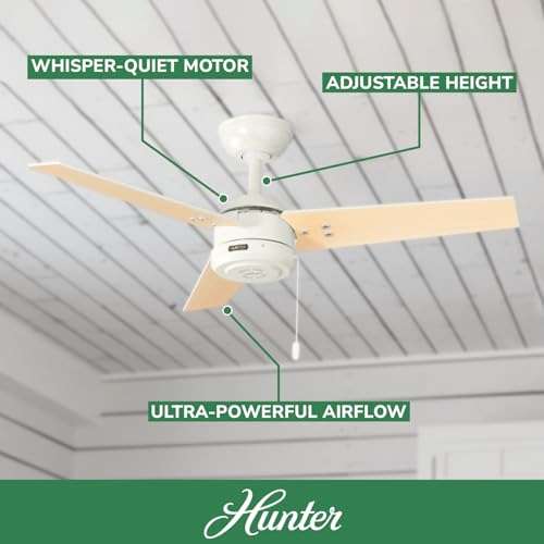 Hunter Fan 50262 Cassius 44-Inch Outdoor Ceiling Fan with Pull Chain Control, No Light, Fresh White Finish thumbnail 3