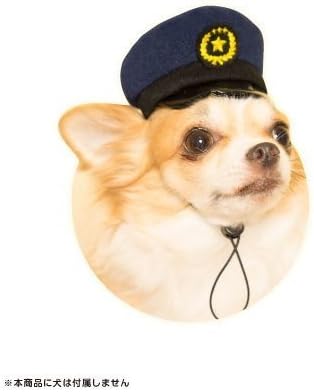 ディレクター 第二 発症 おまわりさん の 帽子 脚本家 フィット 違反