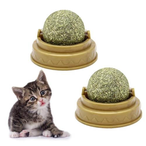 Juguete de menta gatera para pared que reduce el aburrimiento 2