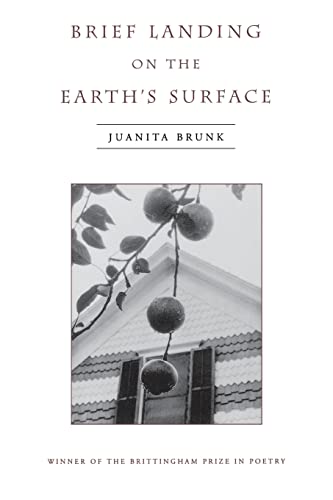 Brief Landing on the Earth's Surface (Volume 1996) (Wisconsin Poetry Series)