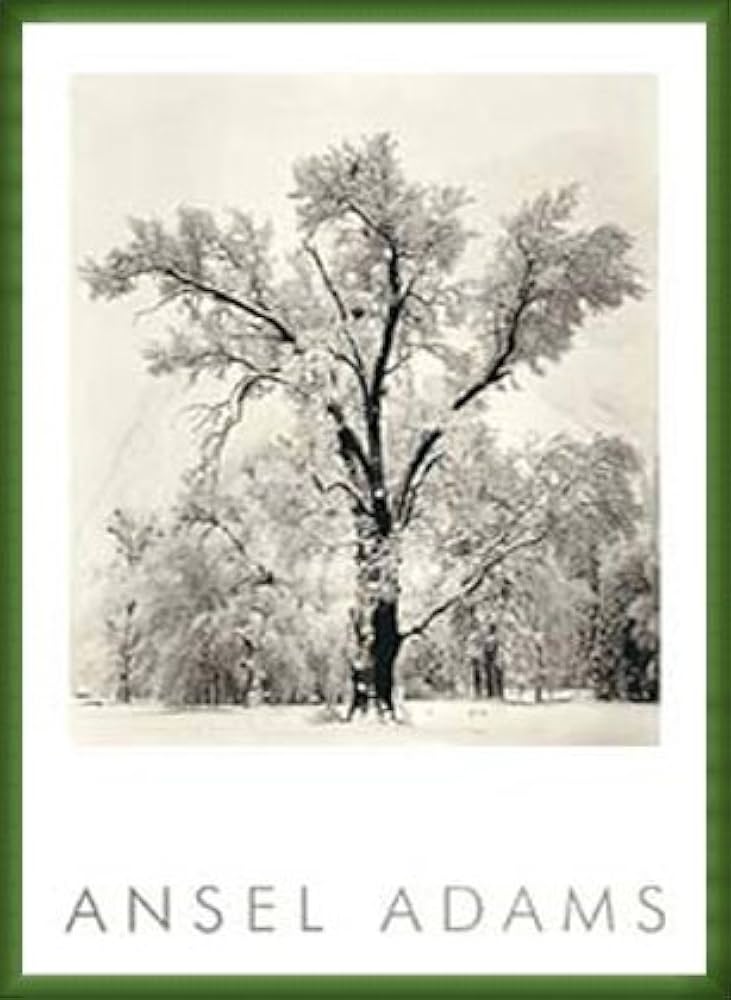 アンセルアダムス　額装品 ヴィンテージ ANSEL ADAMS 額入りポスター - アンティーク