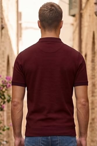 Image of Louis Philippe Men's Slim Fit Zipper Polo T-Shirt in 100% Cotton Pique Fabric for Casual Wear